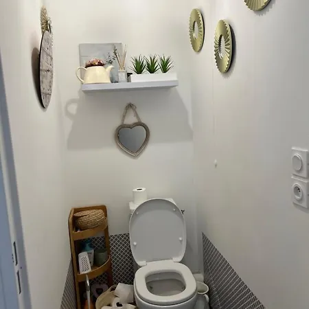 Chez Moi A Cote Du Groupama Stadium