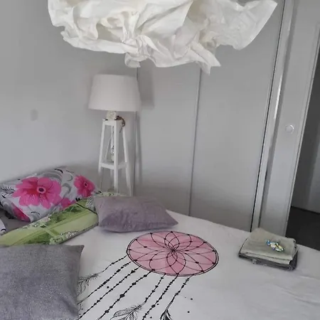 Chez Moi A Cote Du Groupama Stadium ホームステイ *